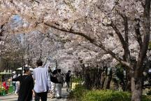 韩国确诊今年首例“蜱虫病”病例 春季高发期需警惕