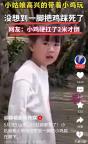 女孩帶小雞玩時(shí)意外把小雞踩在腳下 小雞堅(jiān)強(qiáng)跑兩米終倒下
