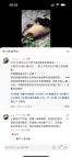 重慶動(dòng)物園大熊貓被扔玻璃瓶 異物已被清理熊貓無(wú)恙