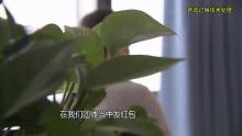 37歲女子借給游戲男友100萬 三年騙局終曝光