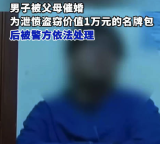 男子被父母催婚 为泄愤盗窃名牌包被警方依法处理