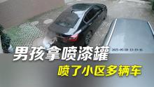 小孩用自噴漆將小區(qū)多輛車(chē)車(chē)牌噴黑 車(chē)主報(bào)警處理