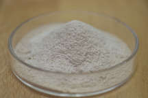 益生菌可以減肥嗎？