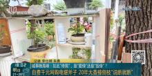 老人鋸斷20年香樟樹枝干：拿我怎樣 私自修剪引發(fā)爭(zhēng)議