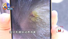 “地鐵場景”受傷！孩子拍照時受傷媽媽說機構(gòu)沒關(guān)懷