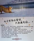 SUV违规下草地漂移 赛里木湖景区回应 生态保护需严管