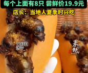 山東一家面包店推出知了猴面包 夏日限定新口味