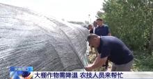 河南啟動(dòng)氣象災(zāi)害高溫四級(jí)應(yīng)急響應(yīng) 多地采取措施應(yīng)對(duì)高溫