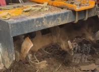 残疾大哥为救老人不慎失去左腿 舍己救人感动众