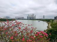 广西最低温跌至“1”字头 晴朗天气即将到来