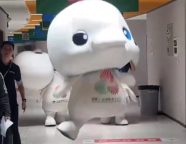 全运会吉祥物原型是中华白海豚！