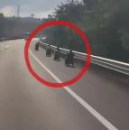 交警回应老人代步车上高速 导航失误致误入