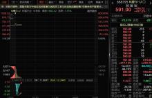 中一签赚28万 年内最赚钱新股诞生 摩尔线程科创板上市