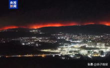 华人称智利火灾后车厘子可能要涨价 大火影响果农