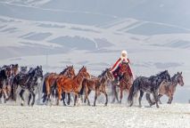 贺娇龙坠马受伤、抢救细节公布 红色身影永远铭记