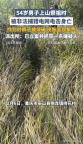 男子祭祖被电死家人山上守整晚遗体 私拉电网酿悲剧