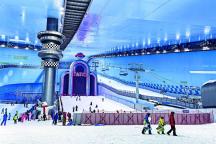 “黄金冰雪带”上的“滑雪第一站” 老工业基地化身“滑雪课堂”