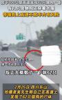 男子高速路上发现62具宠物尸体 携宠返乡安全引热议