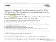 17岁男生发现新物种筷子蛇登上SCI 少年科学梦成真