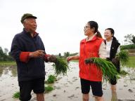 90后女孩成霸气农机手 都市白领的“叛逆”转身