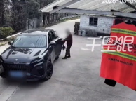 农户养了20年的兰草花被男子偷挖带走