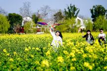 今明两年或成历史最热年份？专家回应 尚需进一步监测研判