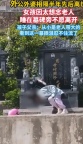 睡墓碑旁女孩爸爸发声 亲情之痛引共鸣