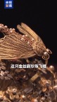 史上最受宠小孩头饰！为什么一个小孩，能得如此厚葬？