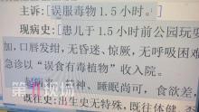 幼兒在公園誤舔一口葉子中毒入院 警惕滴水觀音毒性