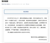 網(wǎng)紅白虎“小孬”意外離世 園方通報 飼養(yǎng)員違規(guī)操作導(dǎo)致悲劇
