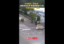 日本福島熊傷人后開窗逃逸 麻醉無效狂暴逃竄