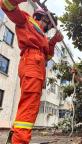 26樓馬桶里鉆出1.5米長蛇 小區(qū)蛇患頻發(fā)引擔憂