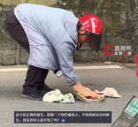 男子用抹布蓋住蛇淡定捏住丟山里 ?溫馨提醒：此類行為存在風(fēng)險(xiǎn)，非專業(yè)人士不應(yīng)模仿