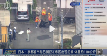 日本熊出沒致學(xué)校停課 目前黑熊已被捕獲
