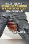 十万只走私巨型蟑螂被安乐死，体长能达到8厘米