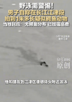 當(dāng)?shù)鼗貞?yīng)男子拍到疑似鱷魚動(dòng)物 正在聯(lián)合排查中