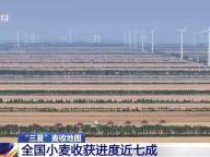 全國2.63億畝小麥已歸倉 夏糧豐收穩(wěn)步推進
