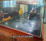 价值20万观赏鱼死亡主人含泪开席 心态豁达品尝“天价”鱼宴