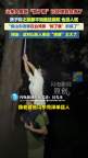 山东人爱吃知了猴传到台湾了 台湾妻子抓“知了猴”上瘾