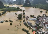 洪水后村民在抽屉发现银环蛇 毒蛇隐患需警惕