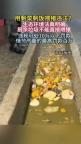 剩菜泔水不能直接喂猪 最高罚10万 新规严管泔水喂猪