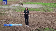 印尼旱情加剧 一湖泊近乎干涸 厄尔尼诺影响显现