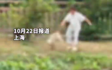 居委会回应两男孩虐猫并扔入湖中