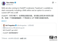 OpenAI 偷师 Anthropic？ChatGPT 版“技能”曝光，让 AI 搞定复杂任务