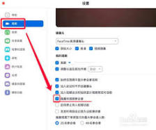 Zoom怎么隐藏非视频参会者
