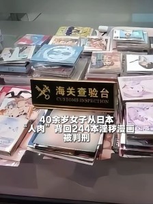 40岁女子从日本带回244本淫秽漫画 获刑一年半