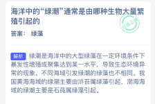 海洋中的绿潮通常是由哪种生物大量繁殖引起的