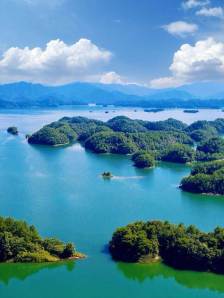 天淳地安育六味 千岛美誉启新章——浙江千岛湖美誉药业续写淳安中医药传奇