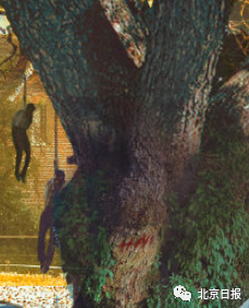 信息量爆炸！乌合麒麟又亮剑，新作被夸细节拉满