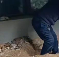 新房挖出尸骨 物业：土是别处运来的
